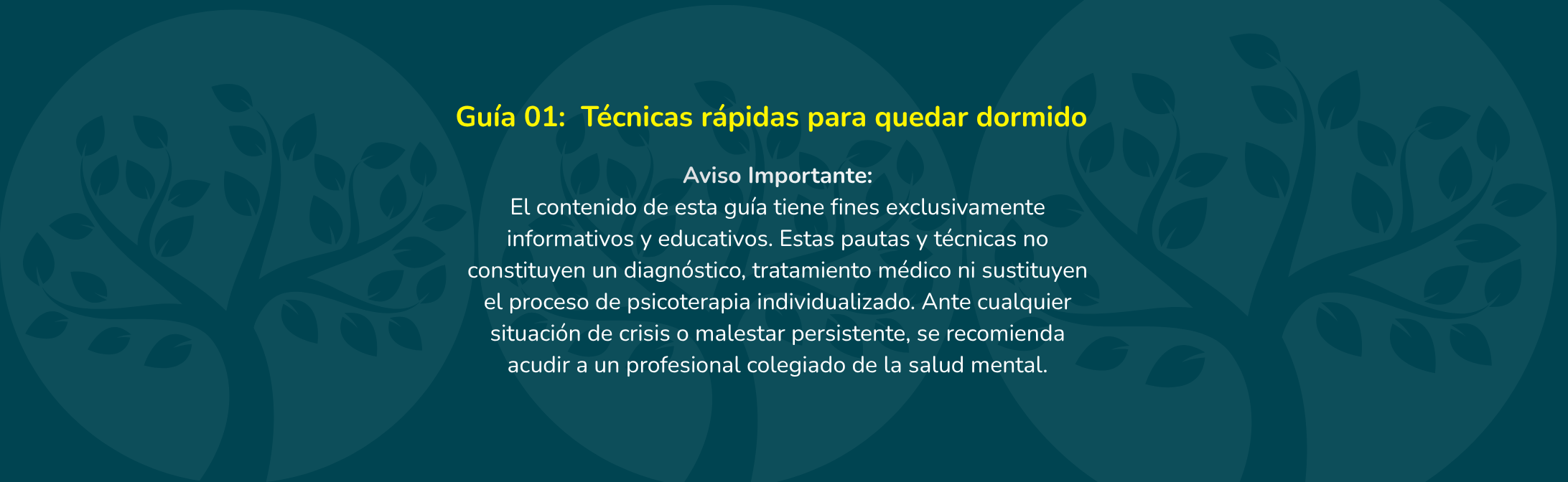 Cabecera de Blog 01