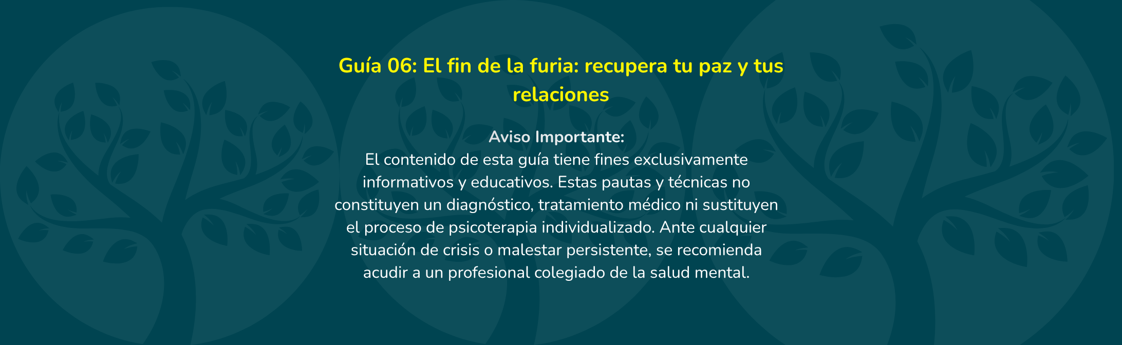 EL FIN DE LA FURIA RECUPERA TU PAZ Y TUS RELACIONES - Blog